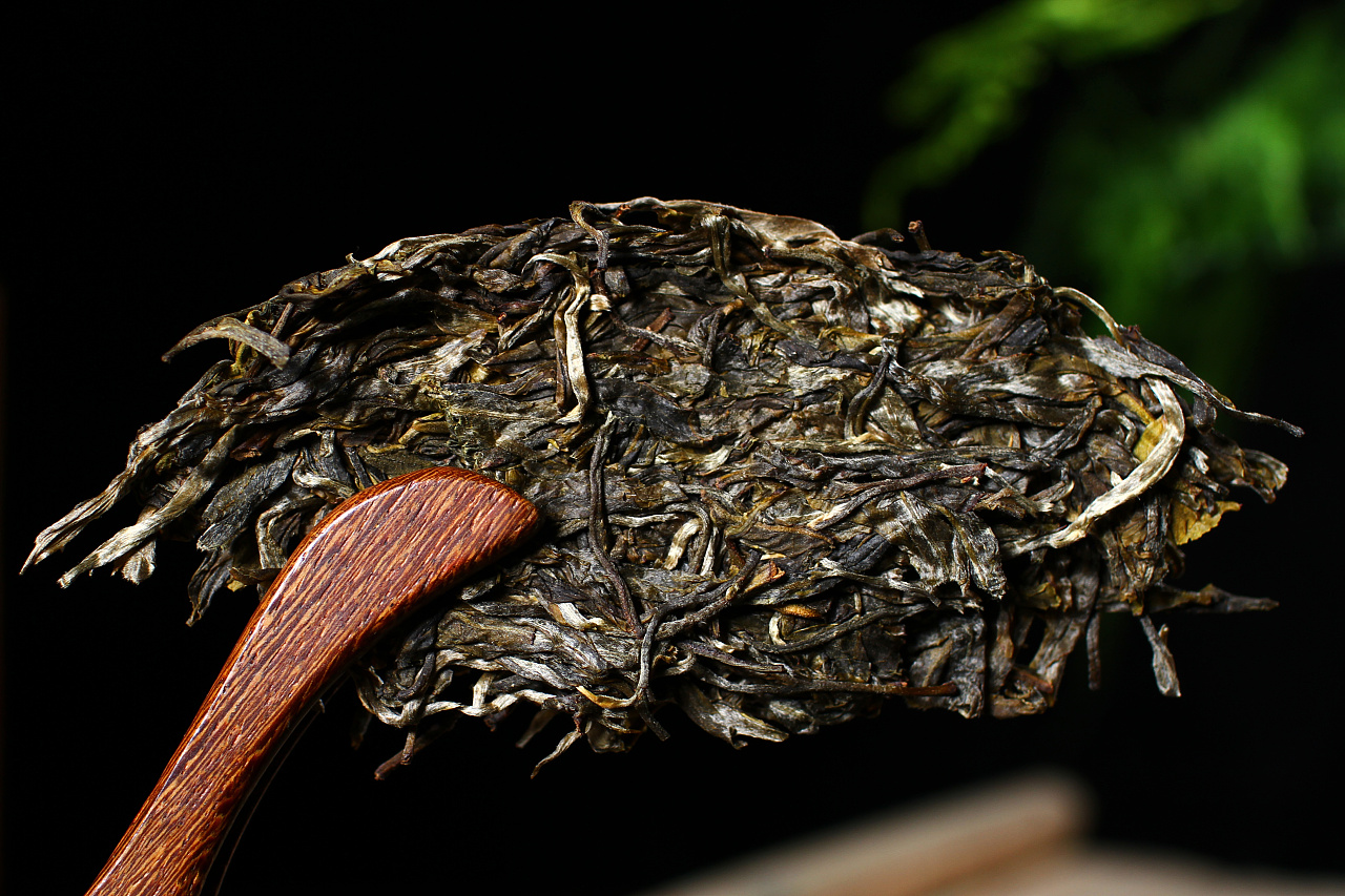 茶叶茶具茶饼云兰普洱摄影