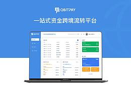 Qbit设计思路
