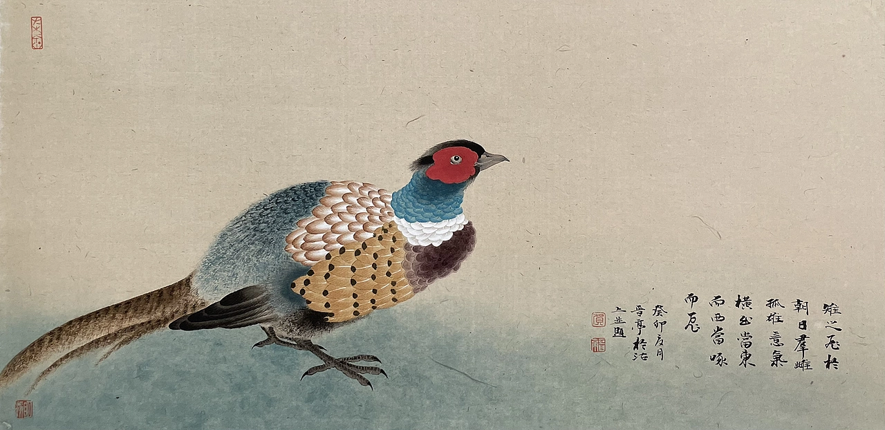 《秀羽写生系列》