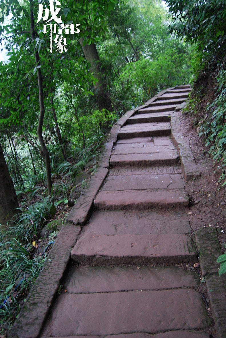 成都印象（2）原创（图ZMjM3MDI4） - 风光摄影 - 站酷设计师马强原创素材 - 站酷ZCOOL