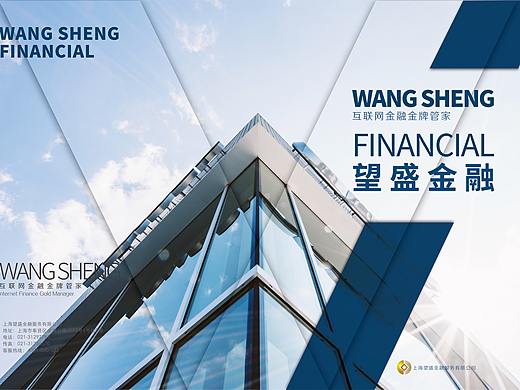 望盛金融&新纶科技画册设计
