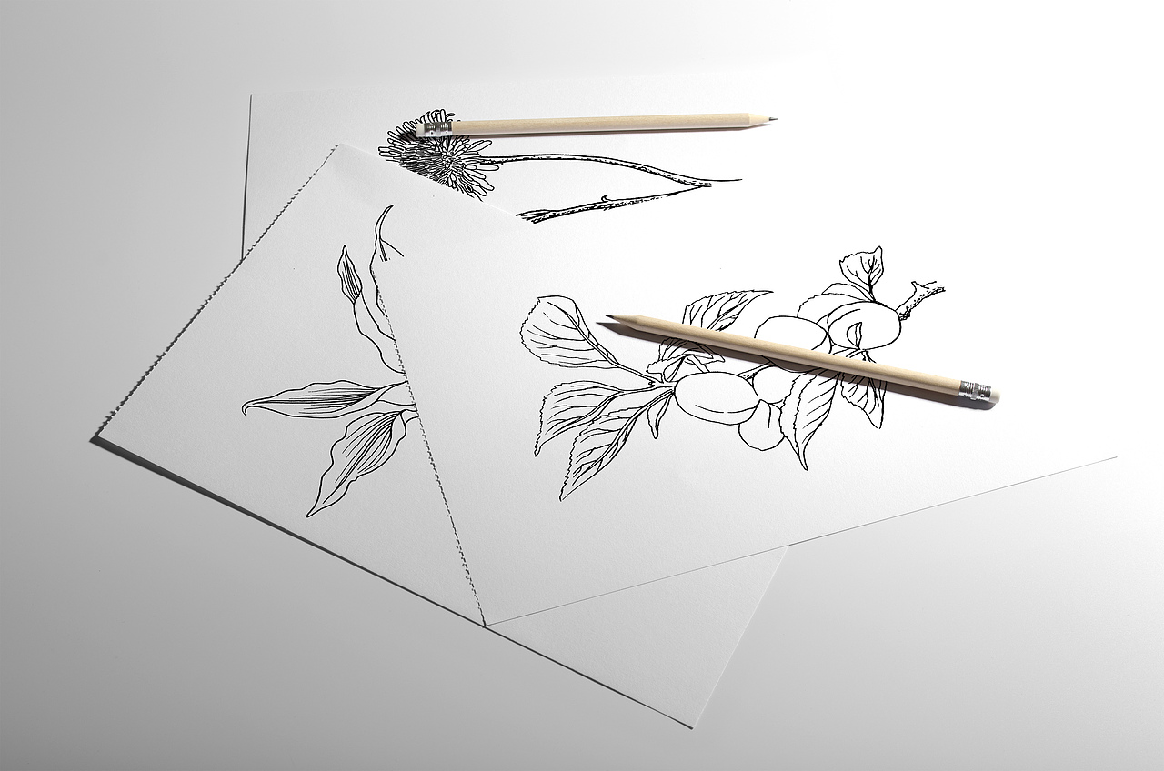 立方甲新作品老金磨方冲饮