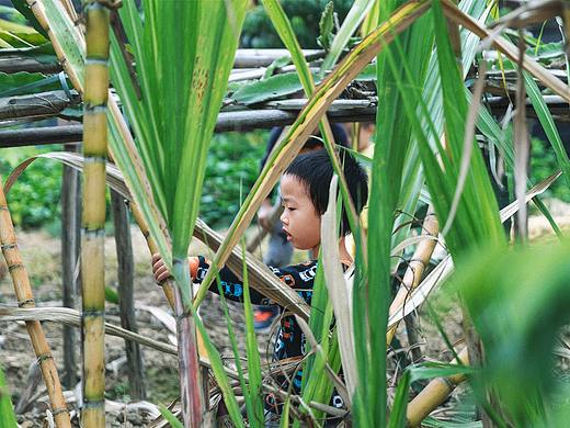 冬日里的暖阳与绿意（个人主页-ZNDIxMjEzNDQ=） - 风光摄影 - 站酷设计师李翔DennisLee原创素材 - 站酷ZCOOL