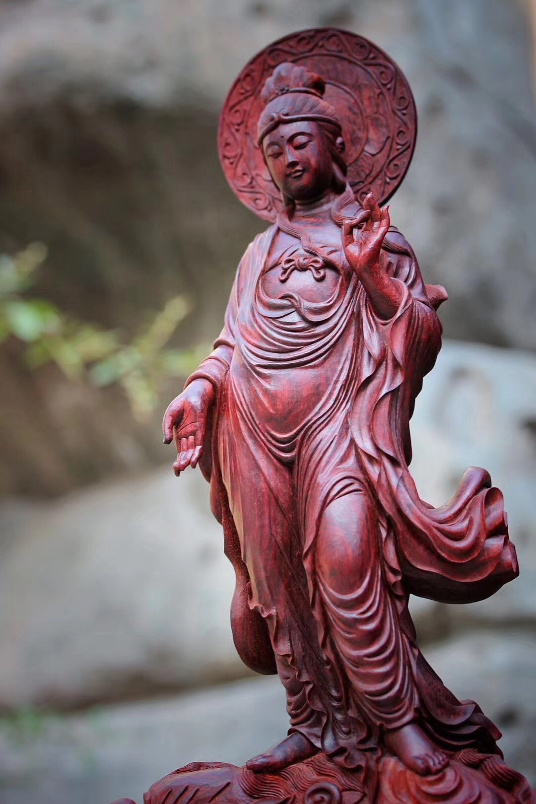 小叶紫檀《鳌鱼观音》