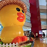 Rita_Cheng的头像