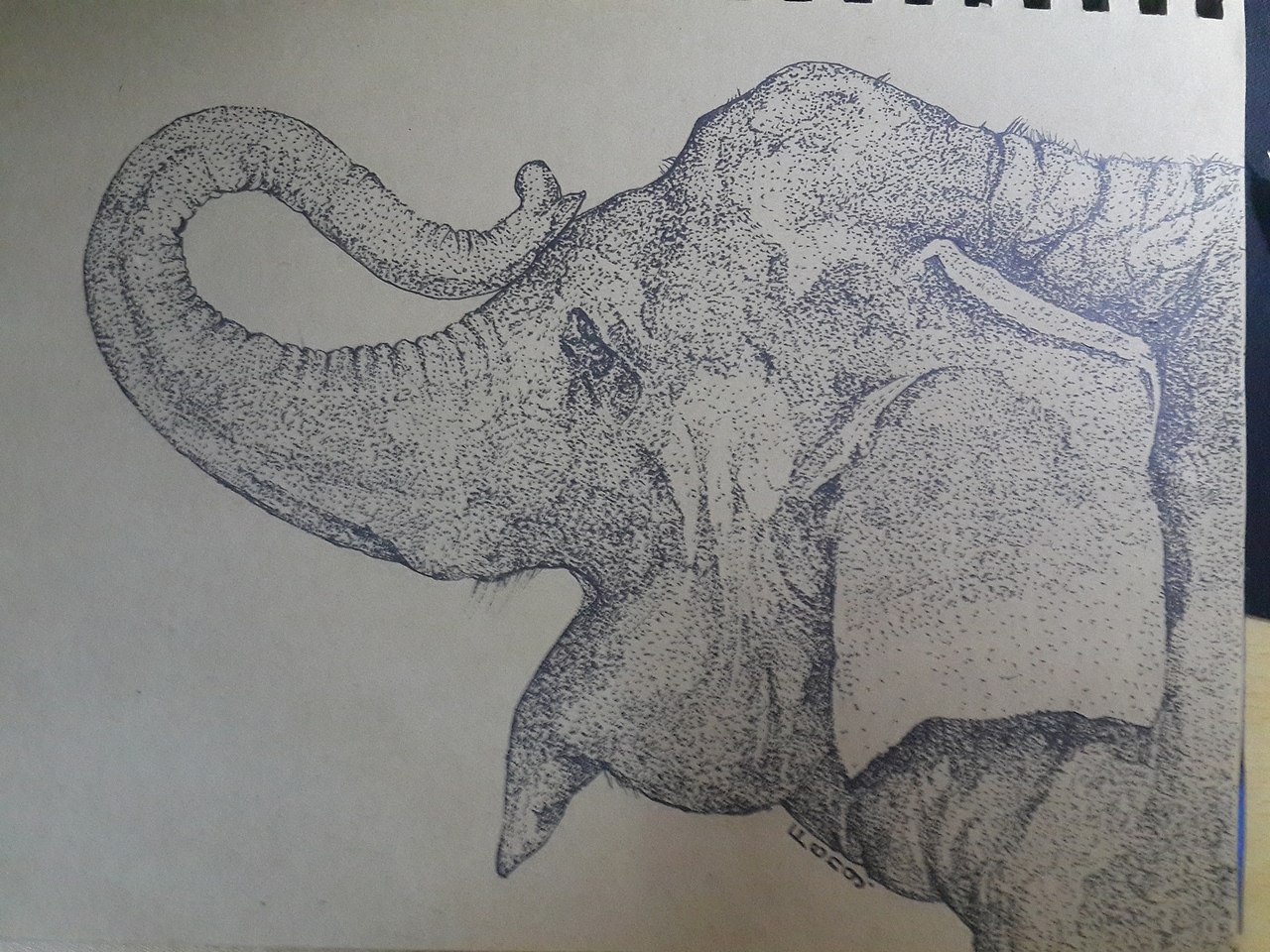 年老的大象（图ZMzU5MjYyNjg=） - 艺术插画 - 站酷设计师Dood東軒原创素材 - 站酷ZCOOL