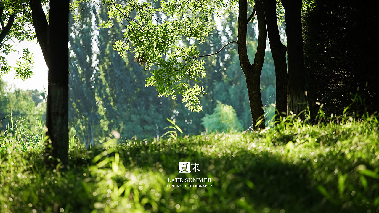 夏末秋初，荷塘印象（图ZODgwMzY2NDg=） - 风光摄影 - 站酷设计师sunday00love原创素材 - 站酷ZCOOL