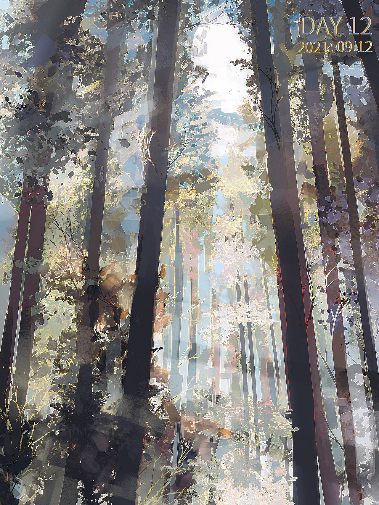 色彩60天挑战赛-②景色