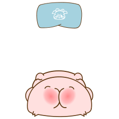 猪宝宝和宝猪猪