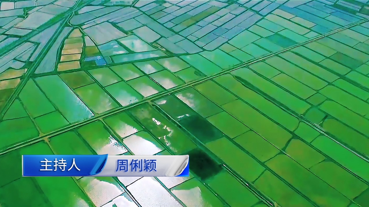 巴彦淖尔频道《天赋河套》栏目导视（图ZMTcxMDAxODI0） - 栏目片头 - 站酷设计师Carrie_o原创素材 - 站酷ZCOOL