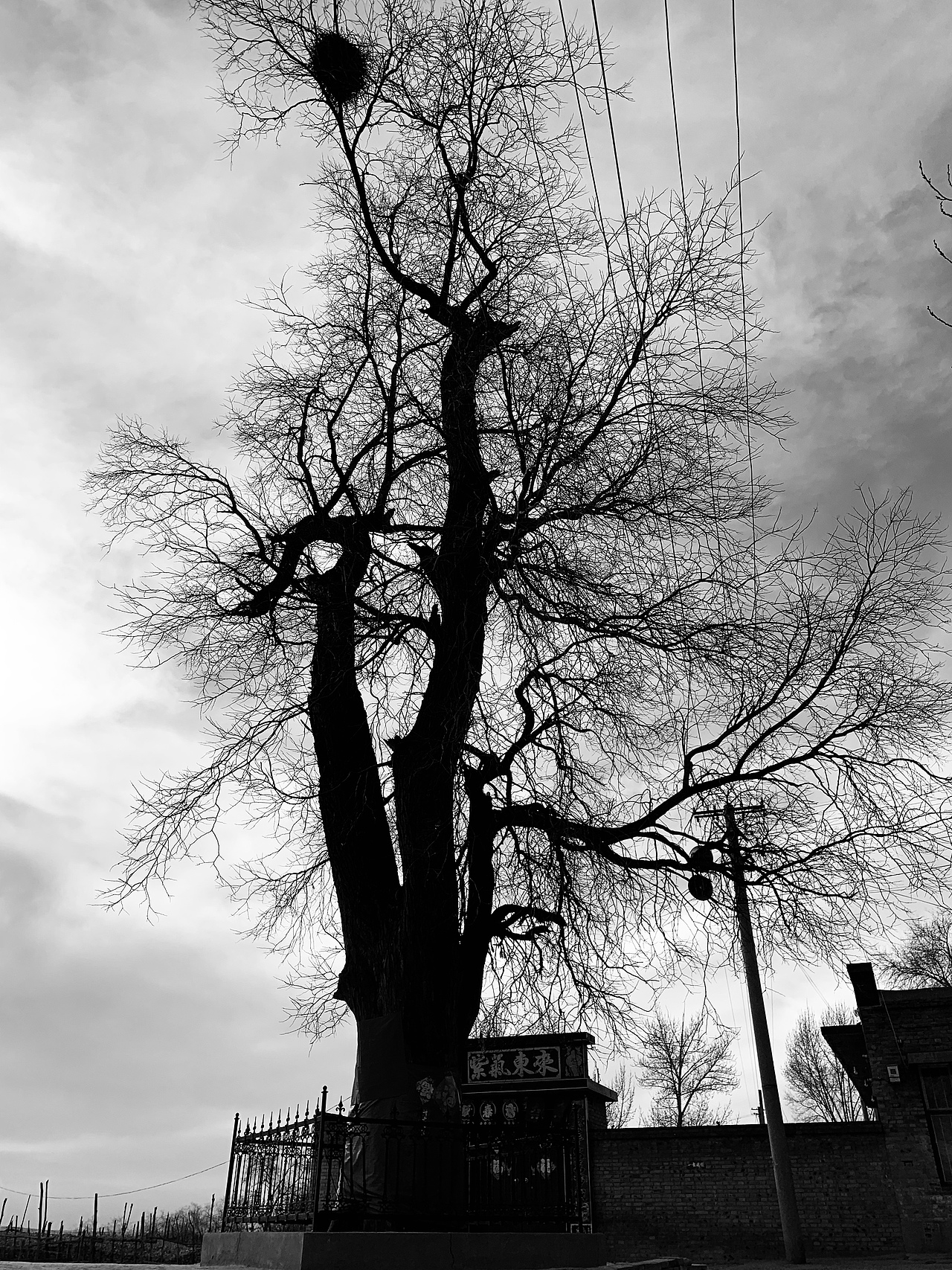 手机摄影小记（图ZMTQzODg5NTMy） - 人文/纪实摄影 - 站酷设计师荼蘼y原创素材 - 站酷ZCOOL