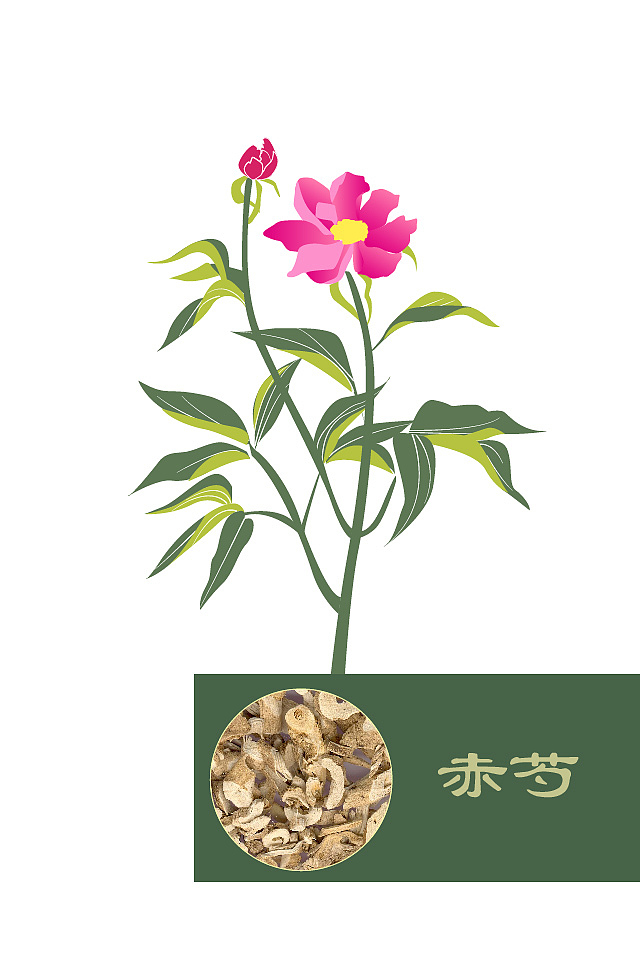 中医药行业设计素材