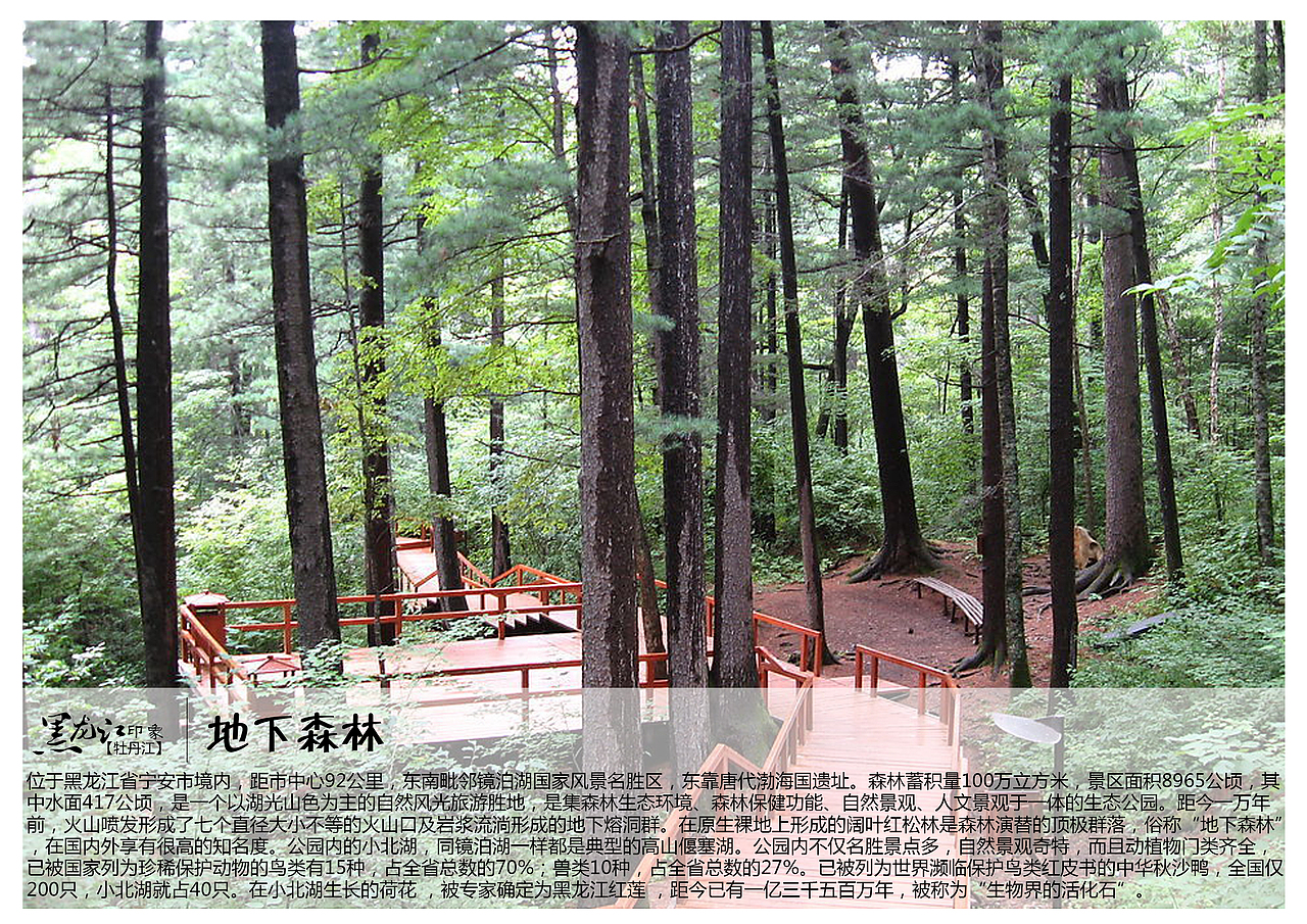 位于黑龙江省宁安市境内，距市中心92公里，东南毗邻镜泊湖国家风景名胜区，东靠唐代渤海国遗址。森林蓄积量100万立方米，景区面积8965公顷，其中水面417公顷，是一个以湖光山色为主的自然风光旅游胜地，是集森林生态环境、森林保健功能、自然景观、人文景观于一体的生态公园。距今一万年前，火山喷发形成了七个直径大小不等的火山口及岩浆流淌形成的地下熔洞群。在原生裸地上形成的阔叶红松林是森林演替的顶极群落，俗称“地下森林”，在国内外享有很高的知名度。公园内的小北湖，同镜泊湖一样都是典型的高山偃塞湖。公园内不仅名胜景点多，自然景观奇特，而且动植物门类齐全，已被国家列为珍稀保护动物的鸟类有15种，占全省总数的70%；兽类10种，占全省总数的27%。已被列为世界濒临保护鸟类红皮书的中华秋沙鸭，全国仅200只，小北湖就占40只。在小北湖生长的荷花 ，被专家确定为黑龙江红莲 ，距今已有一亿三千五百万年，被称为“生物界的活化石”。