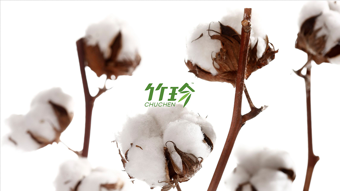 西林原创丨国珍·竹珍卫生棉包装设计（图ZMTUwMjgxMzU2） - 包装 - 站酷设计师西林杰客原创素材 - 站酷ZCOOL