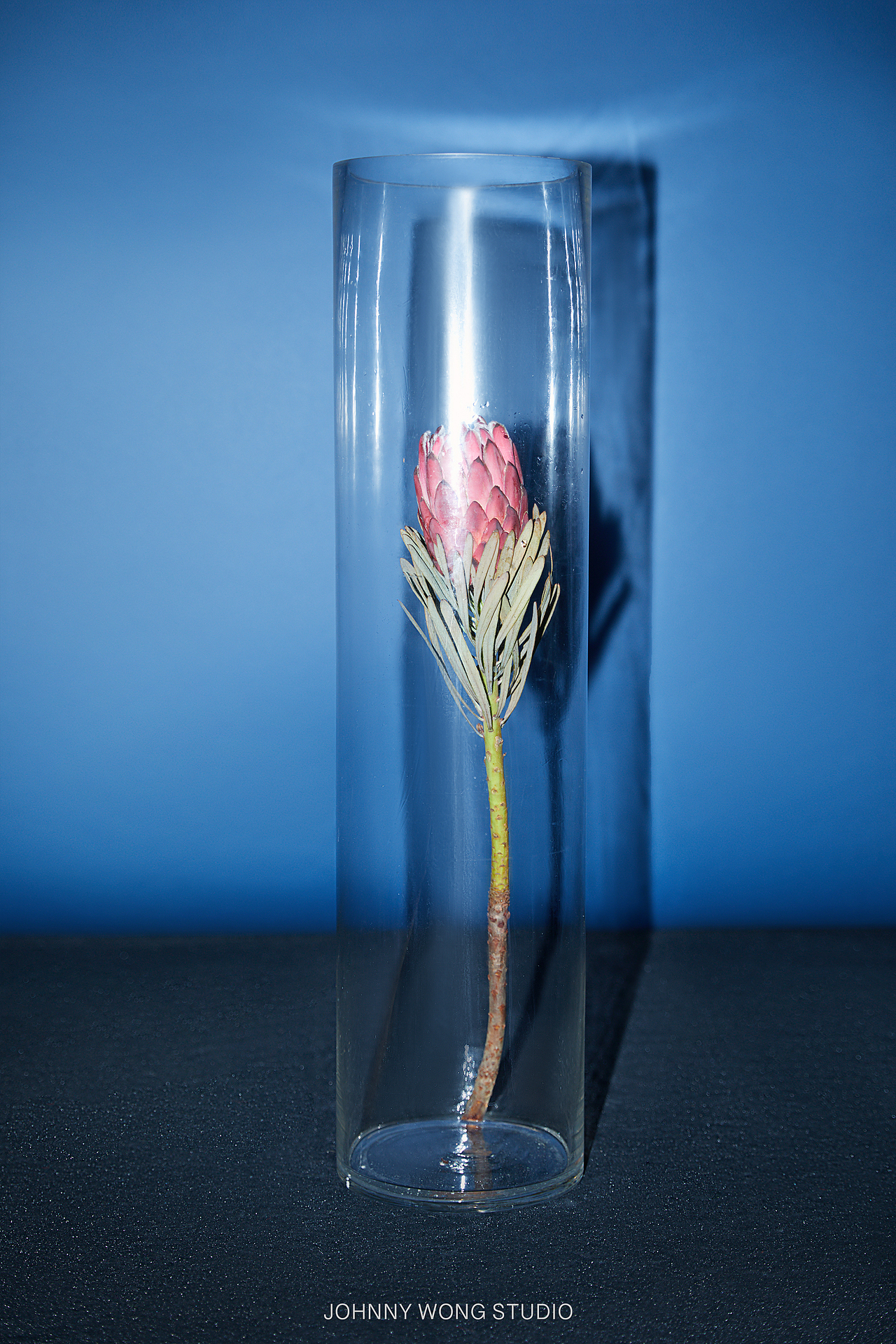 攝影師JohnnyWong-杰克林服裝拍攝（圖ZMTc4MjEzMjg4） - 其他服裝 - 站酷設(shè)計師Z29581398原創(chuàng)素材 - 站酷ZCOOL