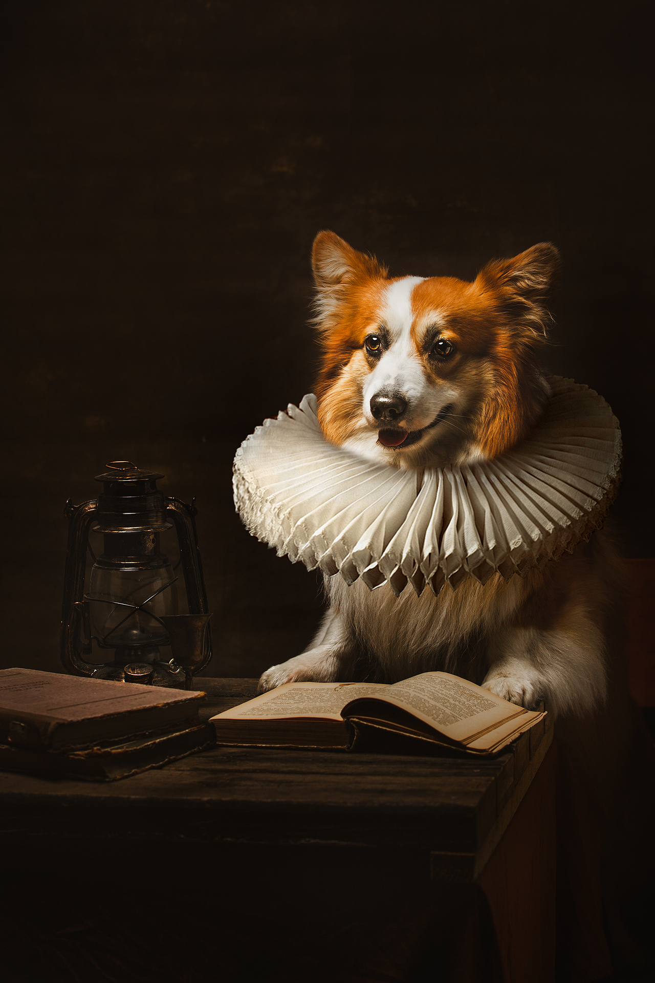 拉夫领（图ZMjA3NjE5MTQ0） - 宠物摄影 - 站酷设计师火锅火锅工作室原创素材 - 站酷ZCOOL