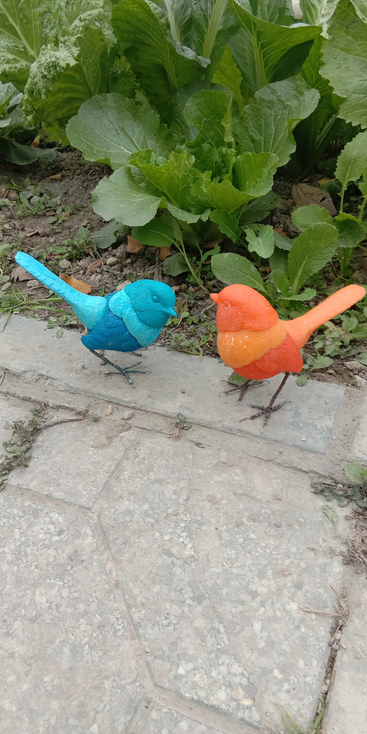 红鸟蓝鸟（图ZMTM3OTc0Njcy） - 工艺品设计 - 站酷设计师那火原创素材 - 站酷ZCOOL