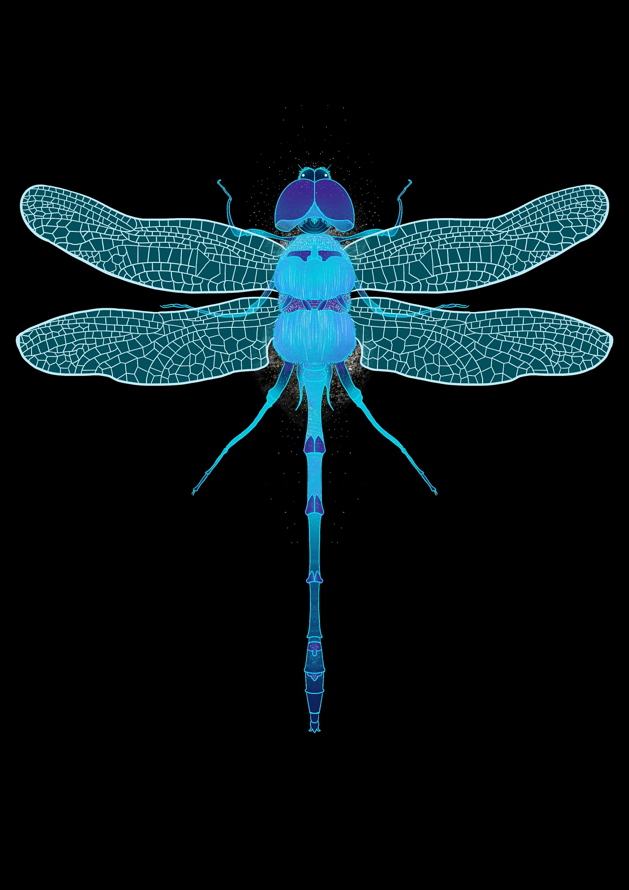 【插画练习|蜻蜓】