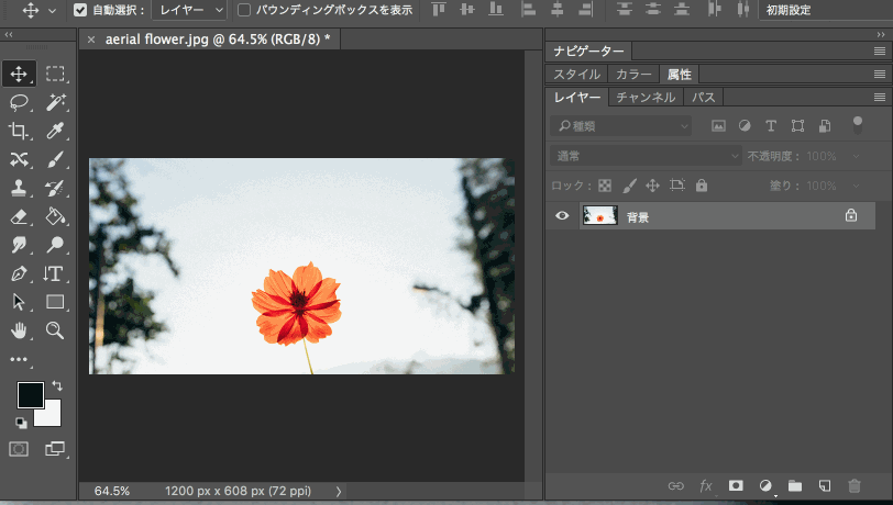 4. 快速切换图像单位
通过“视图>标尺”或者直接按键盘快捷键“Ctrl+R”调出标尺,然后鼠标右键单击“标尺”线,即会弹出单位选择菜单,包括“像素、英寸、厘米、毫米、点、派克、百分比”,直接选择即可。