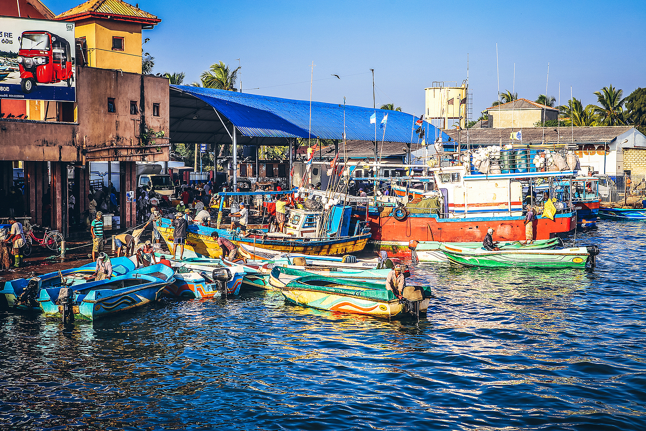 斯里兰卡尼甘布鱼市清晨随拍