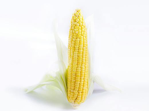 拍了就发些吧，免得以后都丢掉啦