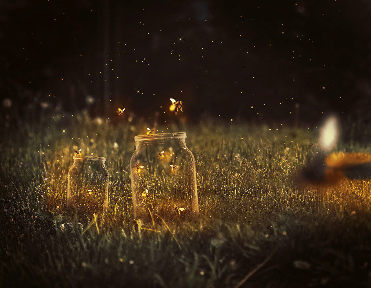 【梦幻开年】PS合成梦幻萤火虫场景