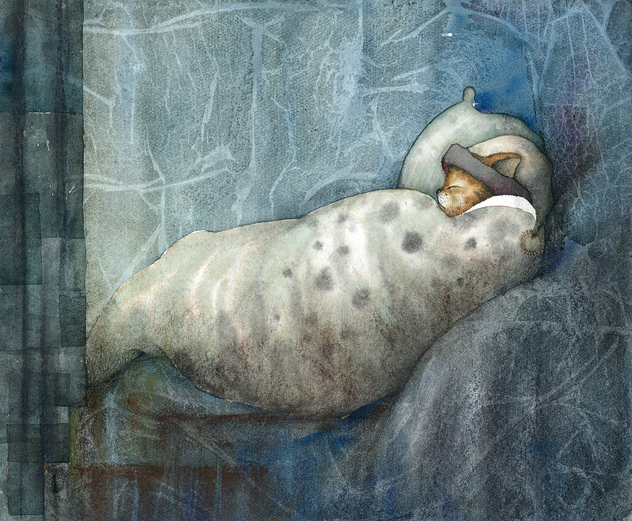 获奖作品 |《猫》