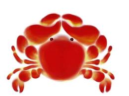 2021年11月品牌設(shè)計(jì)