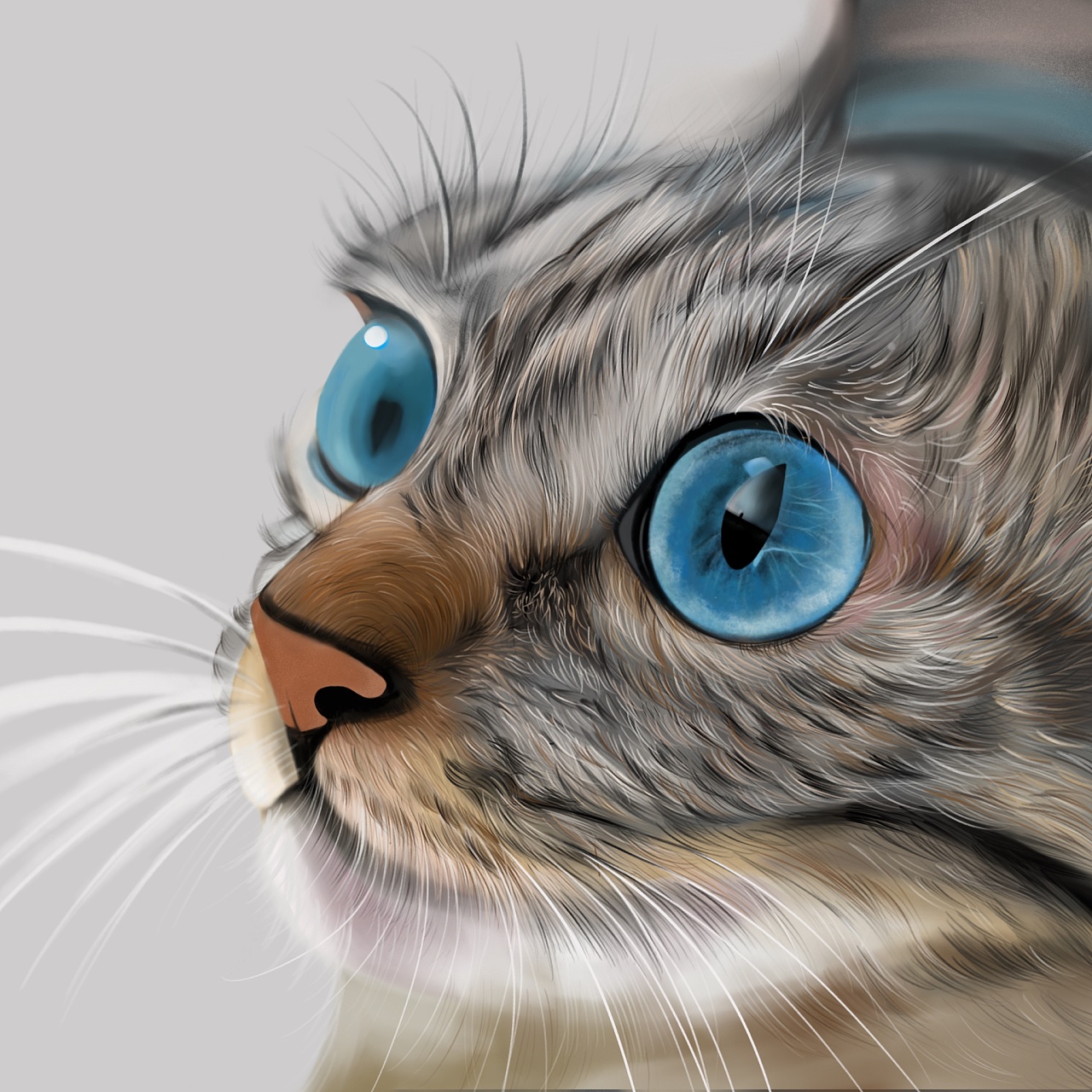 写实猫咪|插画|艺术插画|静静的跳舞7 - 原创作品 - 站酷 (zcool)