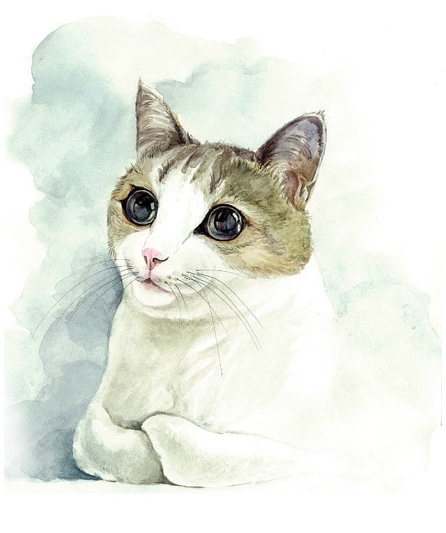 小清新手绘水彩插画_萌猫组