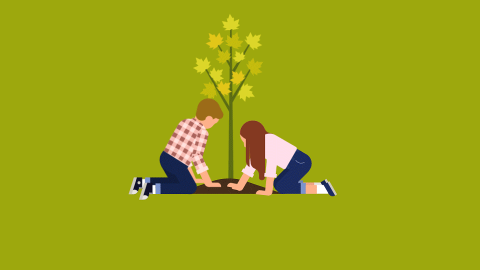 一些动图制作（图ZMTY1MDA3MDI4） - Motion Graphic - 站酷设计师一半木羊雨原创素材 - 站酷ZCOOL