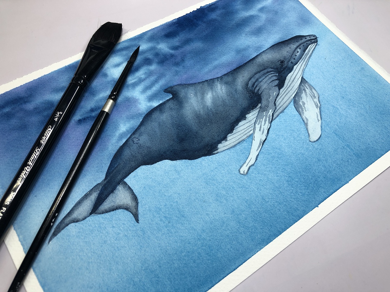 简鲸水彩纸 简鲸水彩纸图片大全 - 第 2 - 水彩迷