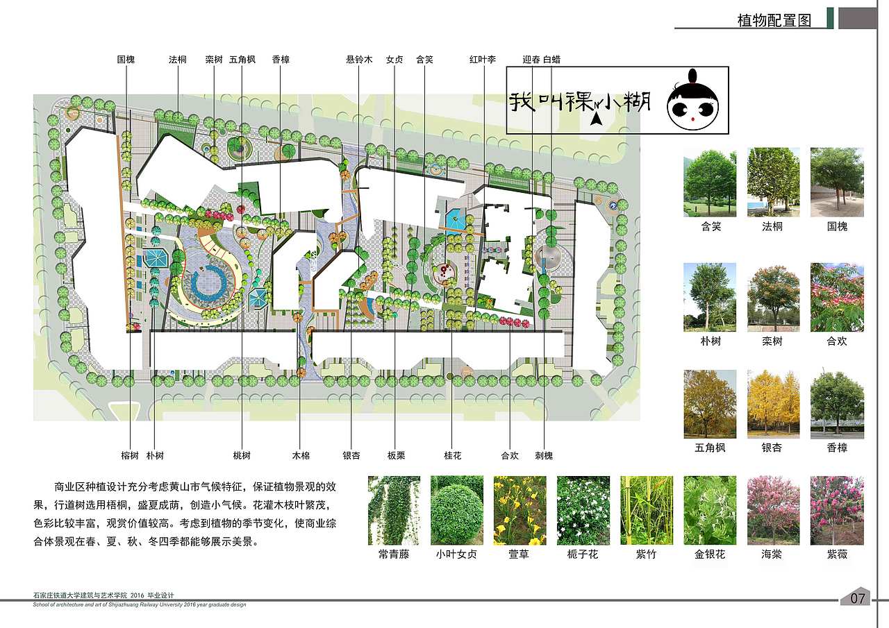裸小糊的第7颗迷糊种子