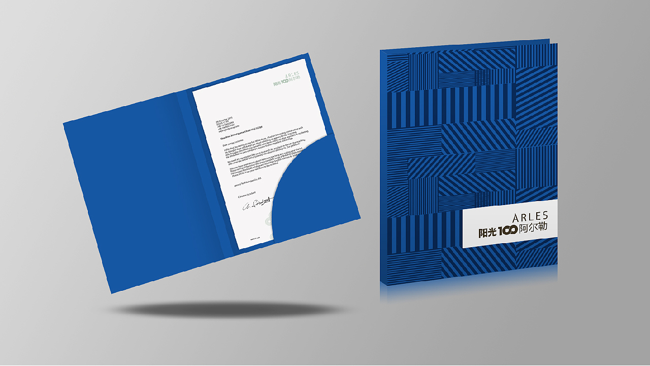 阳光100阿尔勒项目丨提案飞机稿