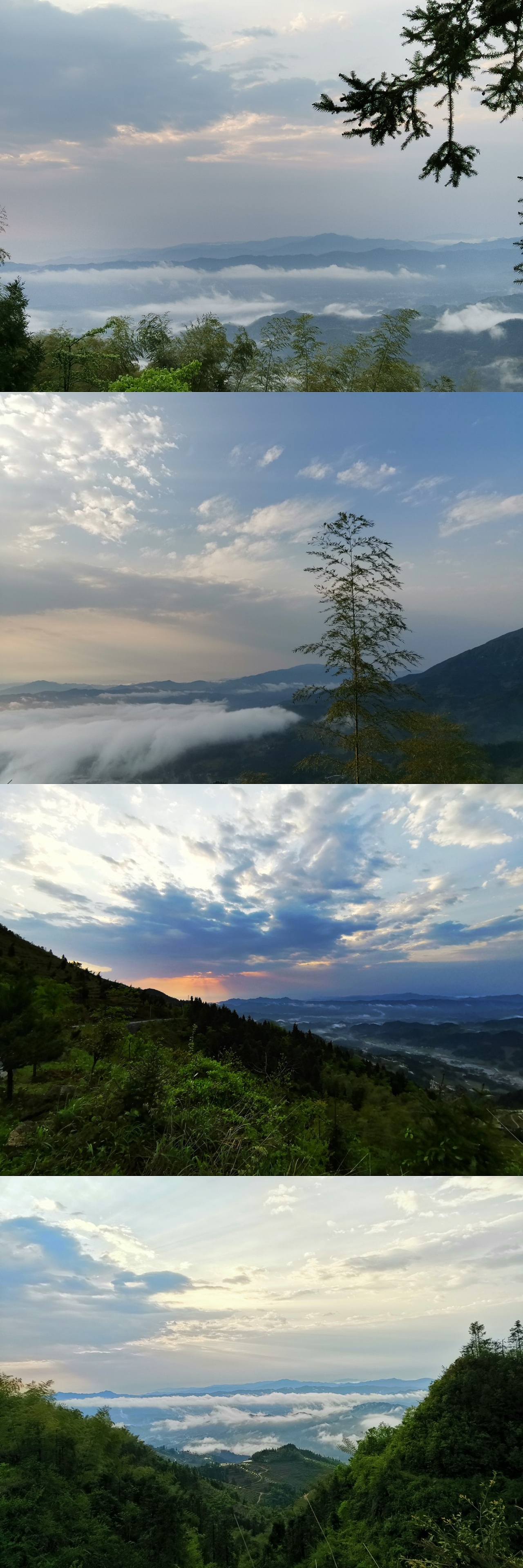 自然界天然氧吧