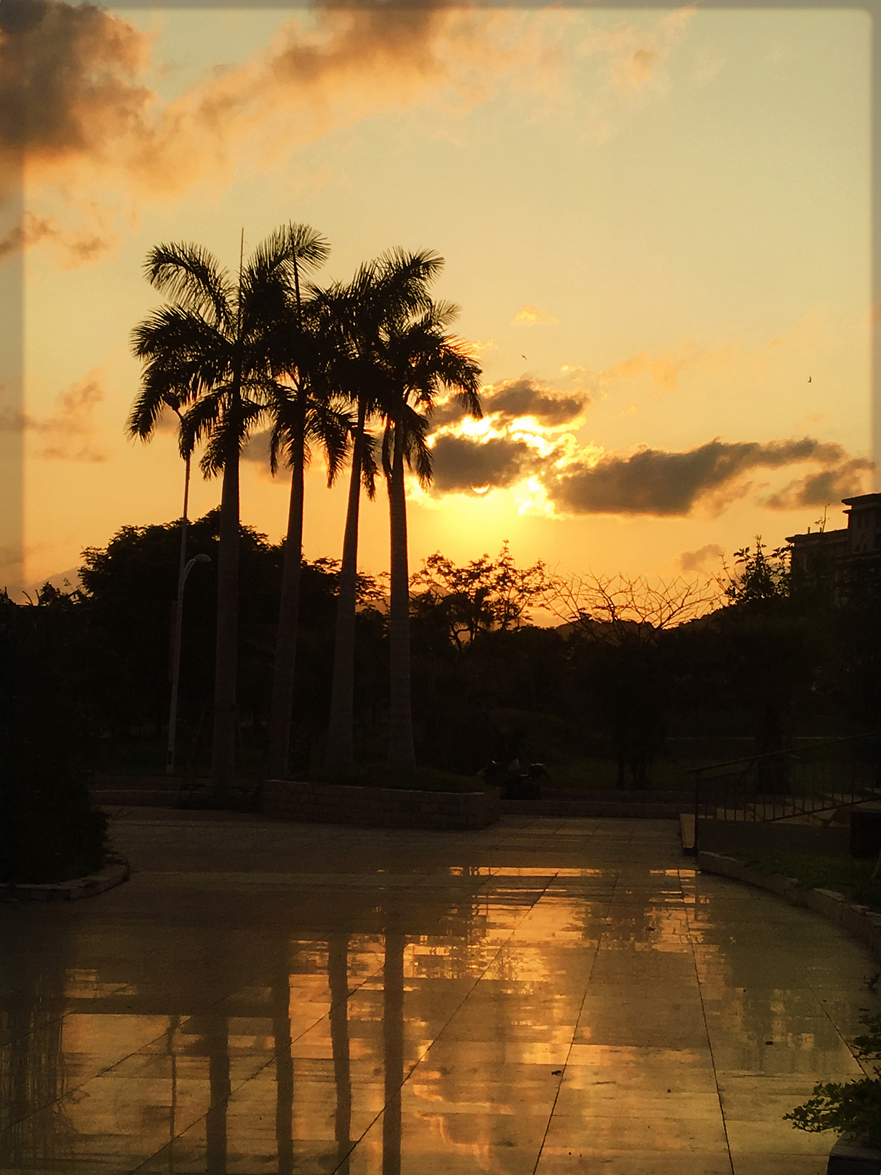 琥珀色流光溢彩的斜阳