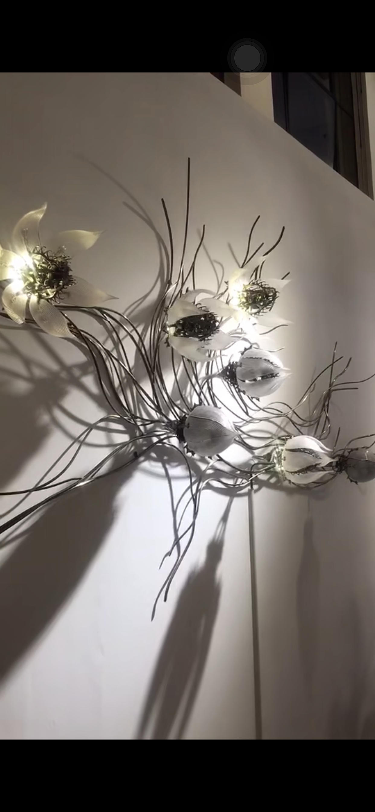 植物装置艺术彼岸花