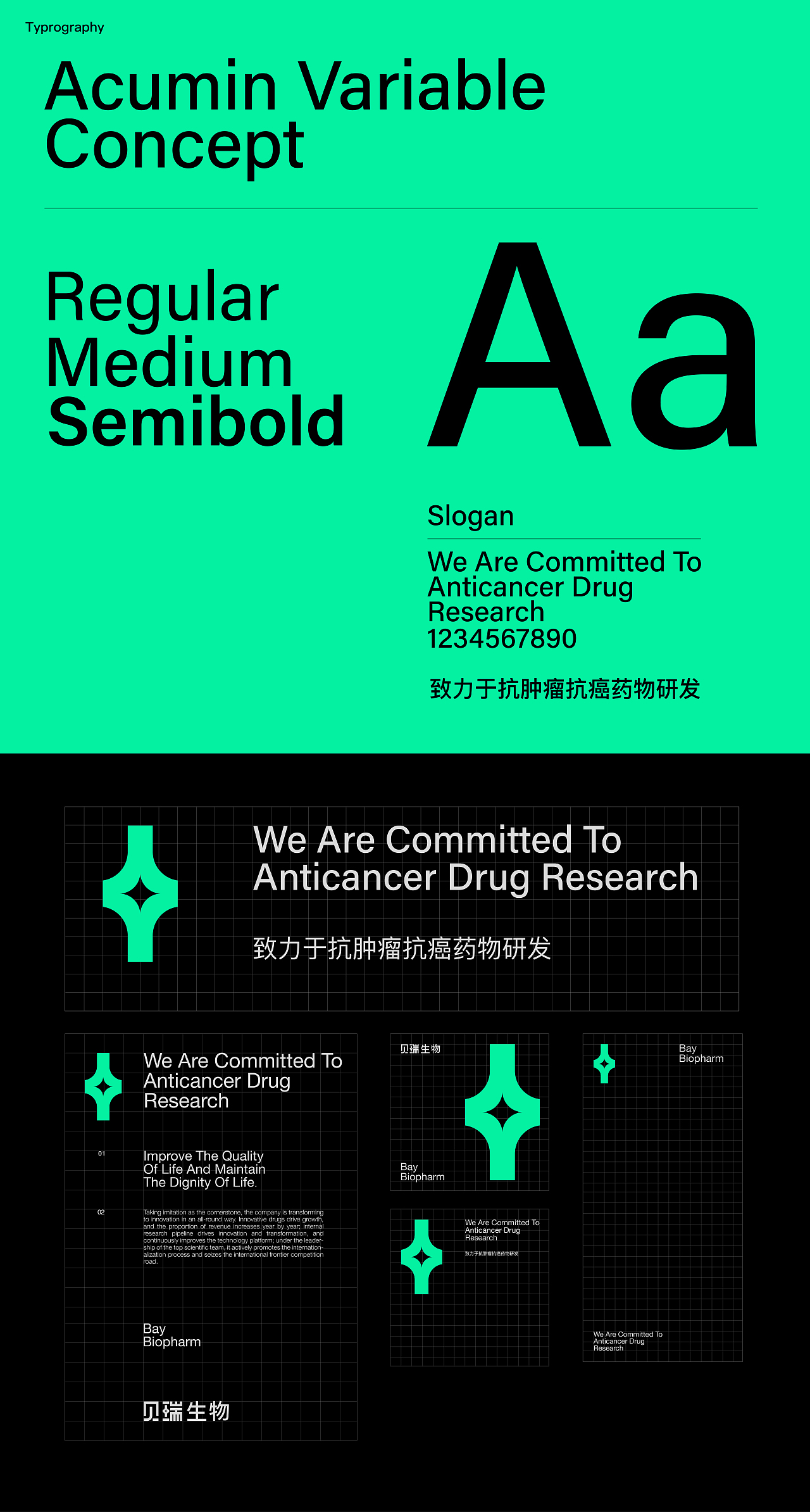 贝瑞生物 BAY BIOPHARM｜致力于抗肿瘤抗癌药物研发（图ZMzY0NjQ2MDYw） - 品牌 - 站酷设计师Ganganstudio原创素材 - 站酷ZCOOL