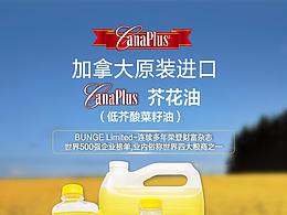 邦吉國(guó)際-芥花油
