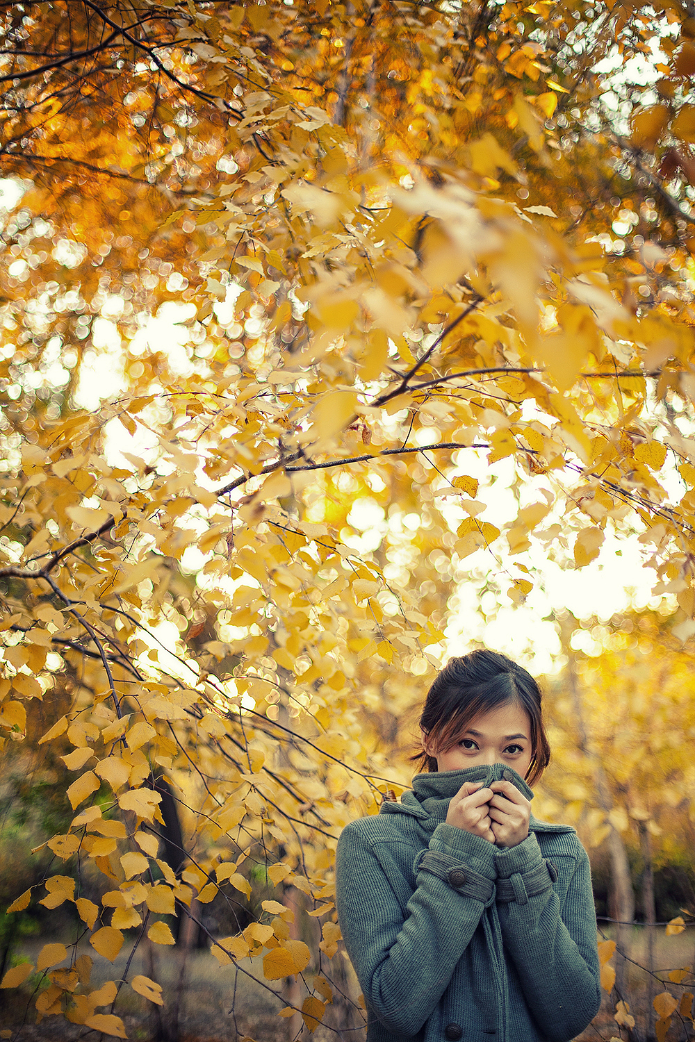 美女写真靓丽秋景|摄影|人像摄影|wlj731 - 原创作品 - 站酷 (zcool)