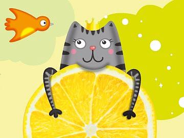 喵公主果干包装设计