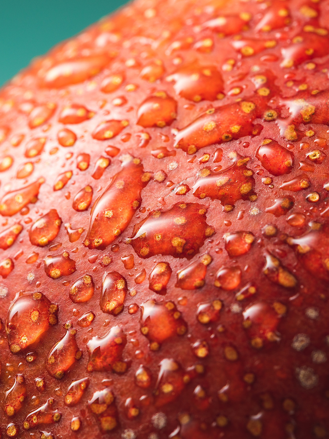 单灯拍摄｜暗调与亮调质感区别（图ZMzE3NjgzNzYw） - 美食摄影 - 站酷设计师梁雄Neo原创素材 - 站酷ZCOOL