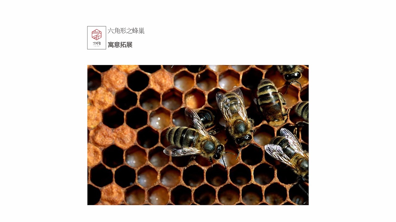 《岁月家》祖训——标志、包装设计（图ZMTc4OTY1OTMy） - 品牌 - 站酷设计师感不相及原创素材 - 站酷ZCOOL