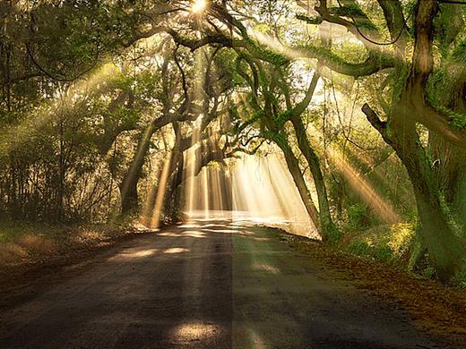 光影（个人主页-ZMjUzMTc3NzI=） - 海报 - 站酷设计师羽宇原创素材 - 站酷ZCOOL