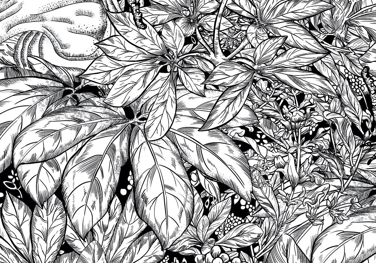 黑白线稿手绘（图ZMTYxOTA1NzM2） - 商业插画 - 站酷设计师陈盲果原创素材 - 站酷ZCOOL