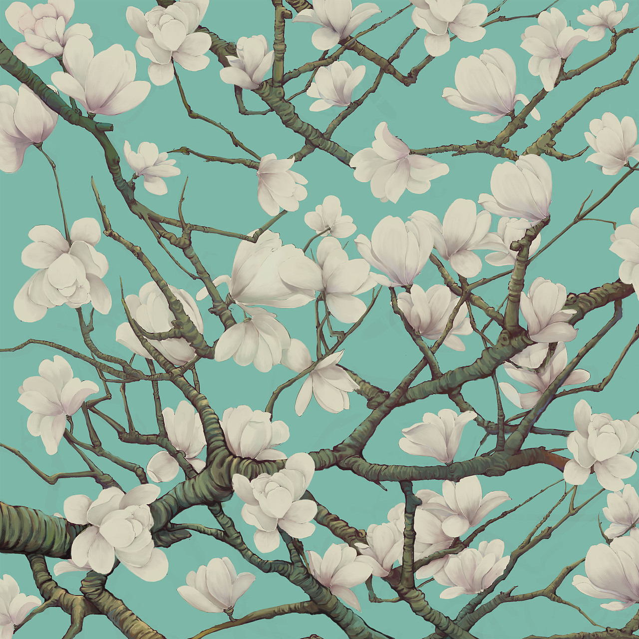 玉兰花 插画 包装 设计