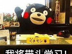 新媒体运营