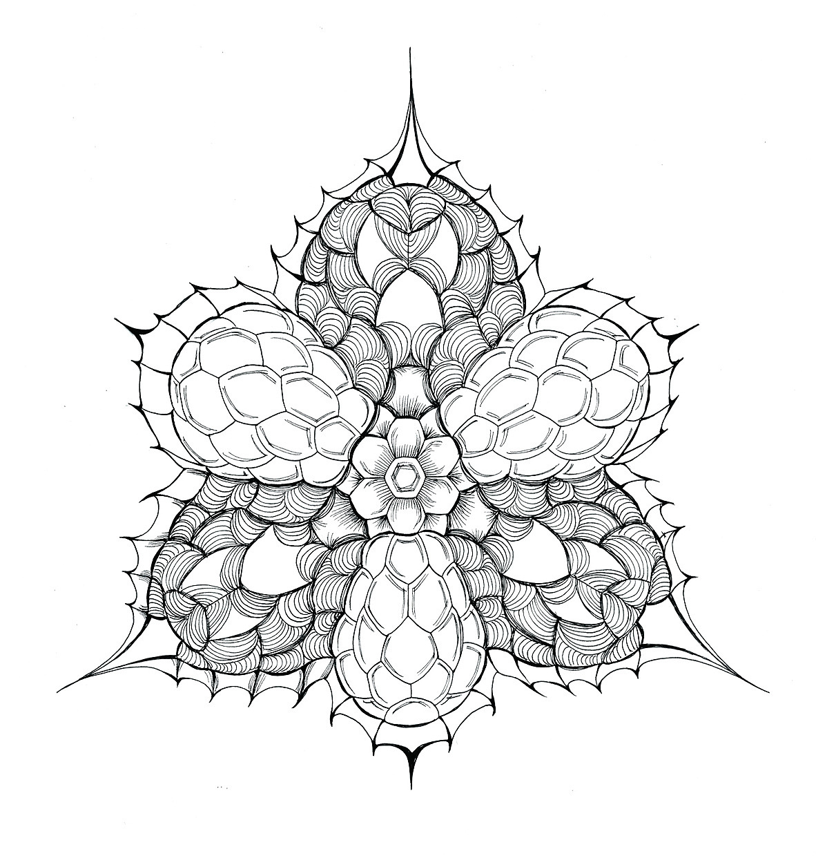 放射虫-图案设计（图ZMTI2NDM3MTEy） - 新锐潮流插画 - 站酷设计师吴绮雯GOKIBUN原创素材 - 站酷ZCOOL