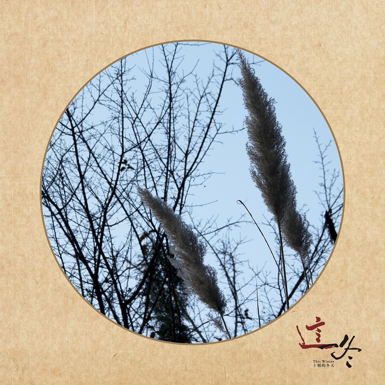 这一冬（图ZMTI3OTI3MjA=） - 风光摄影 - 站酷设计师半道子原创素材 - 站酷ZCOOL