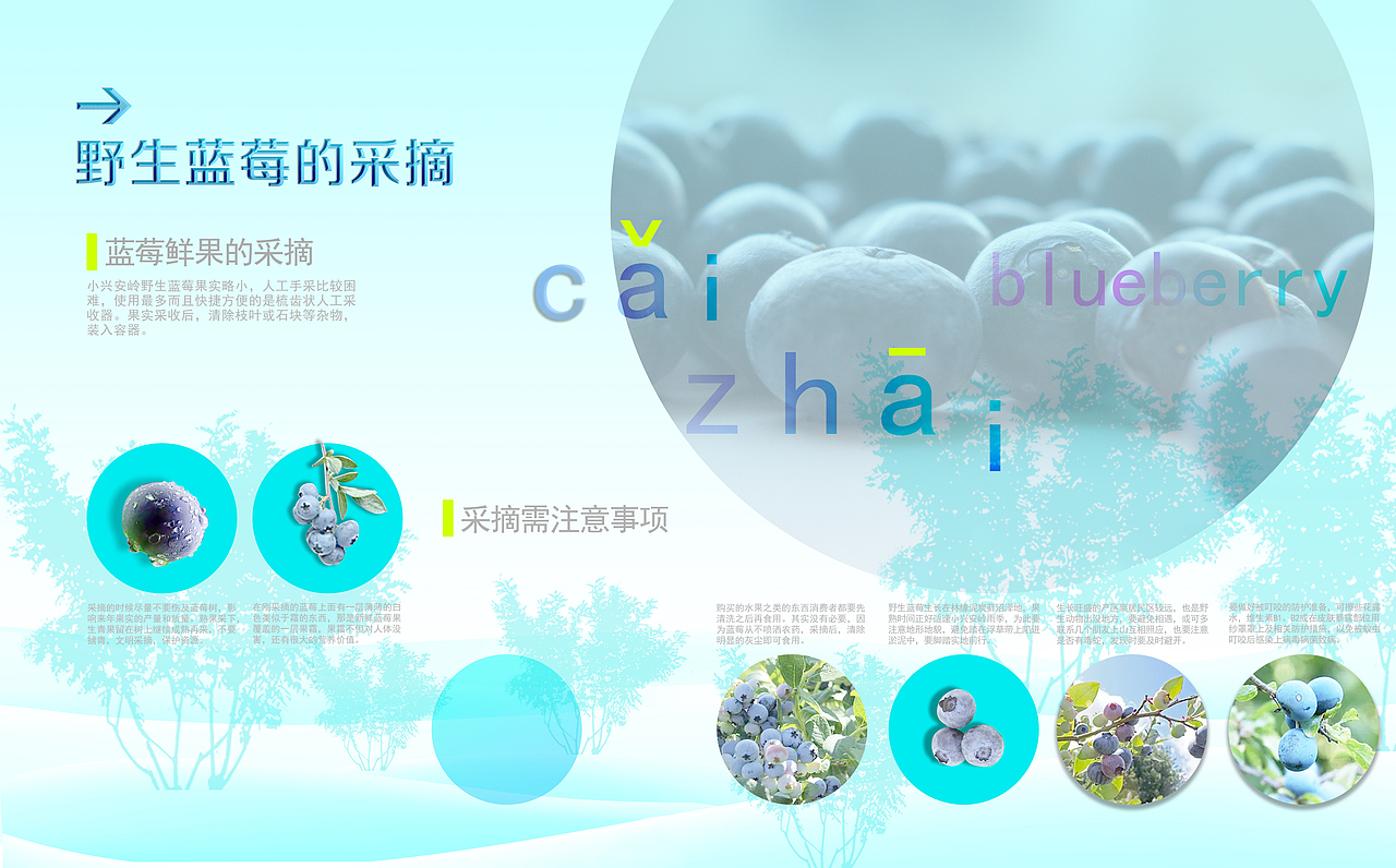 伊春蓝莓博物馆 design（图ZODM3NTAxNDA=） - 其他平面 - 站酷设计师sayaPIC原创素材 - 站酷ZCOOL